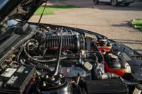 2007 Ford Mustang Shelby GT500 Black Mamba for sale