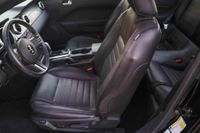2007 Ford Mustang Shelby GT500 Black Mamba for sale