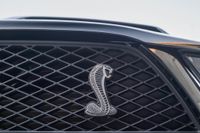 2007 Ford Mustang Shelby GT500 Black Mamba for sale