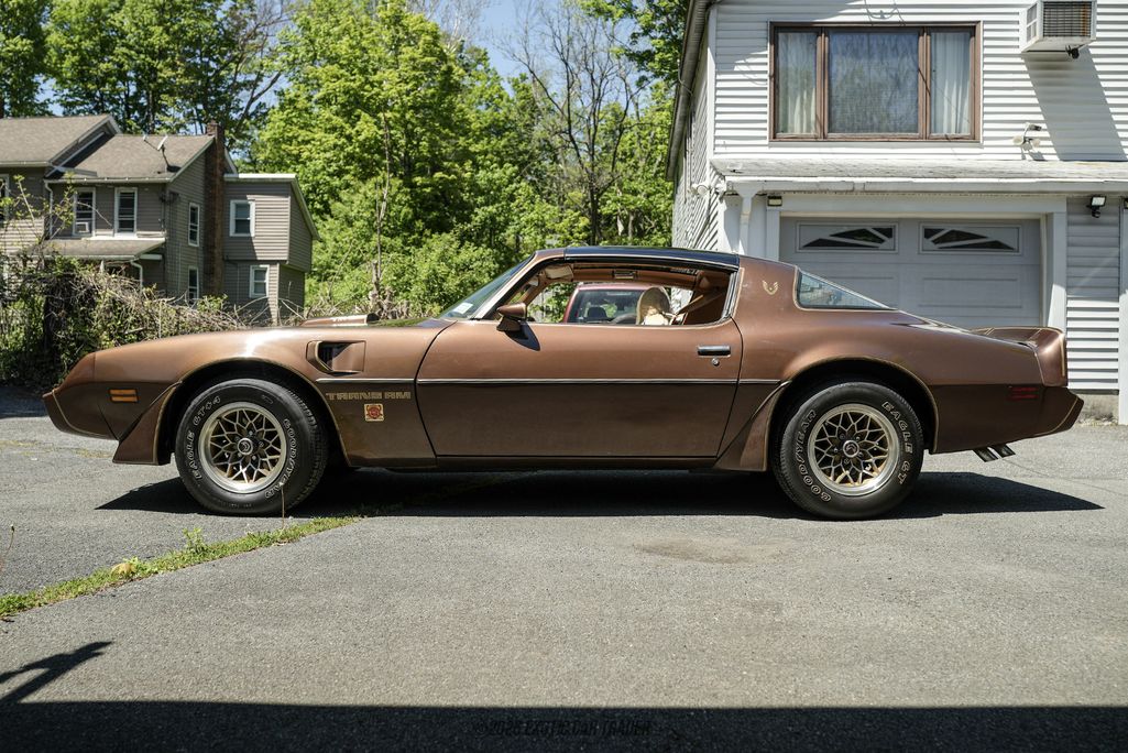 1979 Pontiac Firebird Trans Am for sale