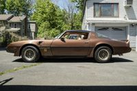 1979 Pontiac Firebird Trans Am for sale