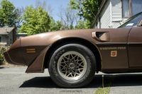 1979 Pontiac Firebird Trans Am for sale