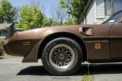 1979 Pontiac Firebird Trans Am for sale
