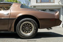 1979 Pontiac Firebird Trans Am for sale
