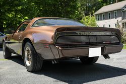 1979 Pontiac Firebird Trans Am for sale