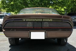 1979 Pontiac Firebird Trans Am for sale