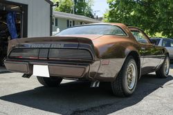 1979 Pontiac Firebird Trans Am for sale
