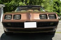 1979 Pontiac Firebird Trans Am for sale