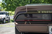 1979 Pontiac Firebird Trans Am for sale