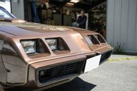 1979 Pontiac Firebird Trans Am for sale