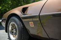 1979 Pontiac Firebird Trans Am for sale
