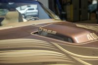 1979 Pontiac Firebird Trans Am for sale