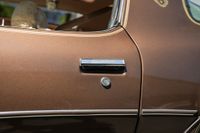 1979 Pontiac Firebird Trans Am for sale