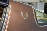1979 Pontiac Firebird Trans Am for sale