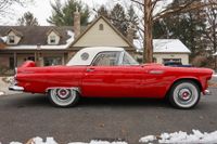 1956 Ford Thunderbird for sale