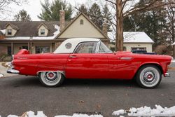 1956 Ford Thunderbird for sale