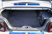 2014 Ford Mustang Shelby GT500 Convertible for sale