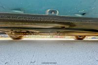 1995 Mercedes-Benz SL320 Convertible for sale
