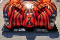 2014 Radical RXC for sale