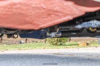 1970 Ford Mustang Mach 1 428 Super Cobra Jet Drag Pack for sale