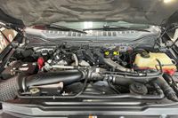 2017 Ford F-250 Super Duty Platinum for sale