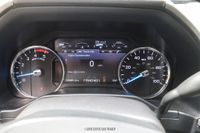2017 Ford F-250 Super Duty Platinum for sale