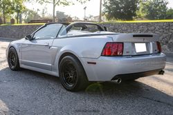 2003 Ford Mustang SVT Cobra Convertible for sale