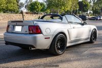 2003 Ford Mustang SVT Cobra Convertible for sale