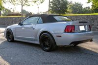 2003 Ford Mustang SVT Cobra Convertible for sale