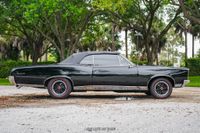 1967 Pontiac LeMans Convertible GTO Tribute for sale