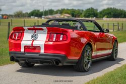2012 Ford Mustang Shelby GT500 Convertible for sale