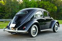 1954 Volkswagen Beetle for sale