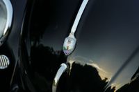 1954 Volkswagen Beetle for sale