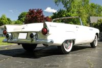 1955 Ford Thunderbird for sale