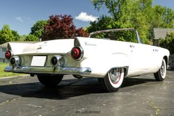 1955 Ford Thunderbird for sale