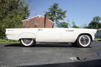 1955 Ford Thunderbird for sale