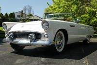 1955 Ford Thunderbird for sale