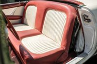 1955 Ford Thunderbird for sale