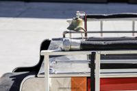 1948 Crosley Hot Shot Firetruck for sale