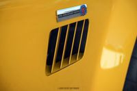 2010 Shelby Cobra  Replica Factory Five 15th Anniversary Edition for sale