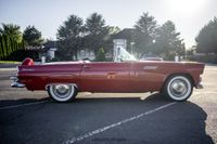 1956 Ford Thunderbird for sale