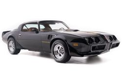 1979 Pontiac firebird Trans Am for sale