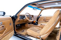 1979 Pontiac firebird Trans Am for sale