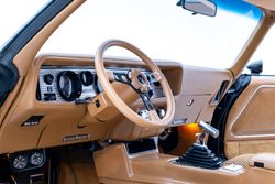 1979 Pontiac firebird Trans Am for sale