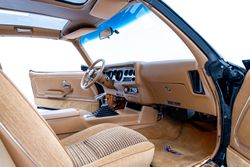 1979 Pontiac firebird Trans Am for sale