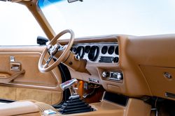 1979 Pontiac firebird Trans Am for sale