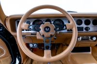 1979 Pontiac firebird Trans Am for sale