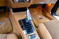 1979 Pontiac firebird Trans Am for sale