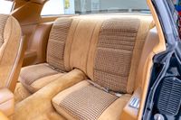 1979 Pontiac firebird Trans Am for sale