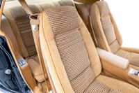 1979 Pontiac firebird Trans Am for sale